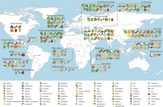 Мапа на потеклото на храната што ја јадеме